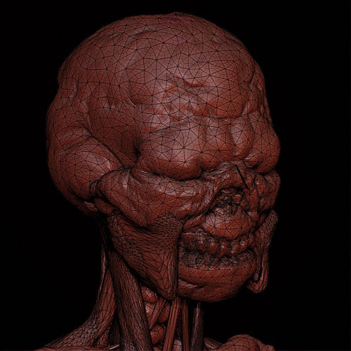 KoMaRa - Front Cover