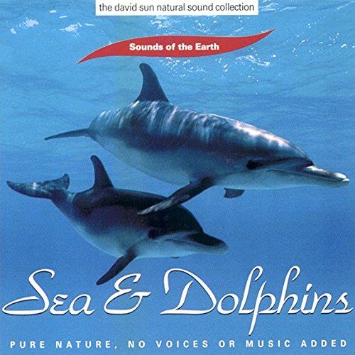 Sea & Dolphins - Front Cover