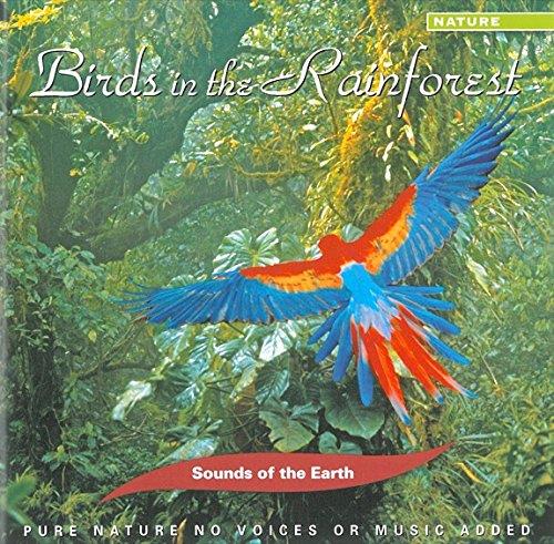 Birds in the Rainforest - Front Cover