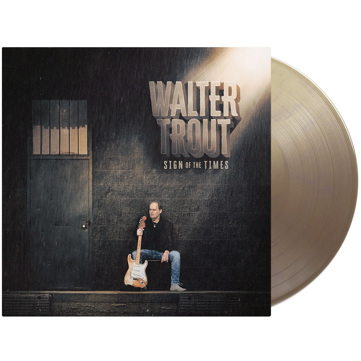 SIGN OF THE TIMES - ÉDITION LIMITÉE - VINYLE MARRON DORÉ - Front Cover