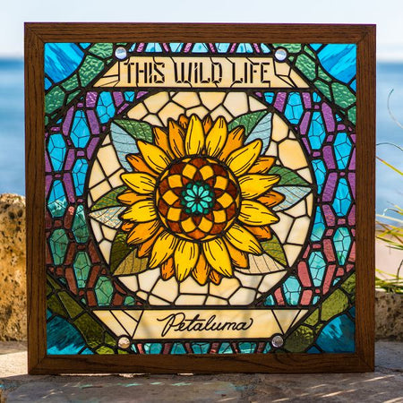 Petaluma - Front Cover