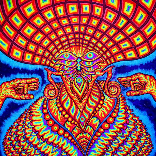 The Universe Inside - Front Cover