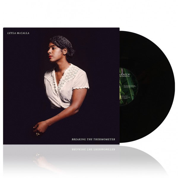 Breaking the Thermometer - Front Cover