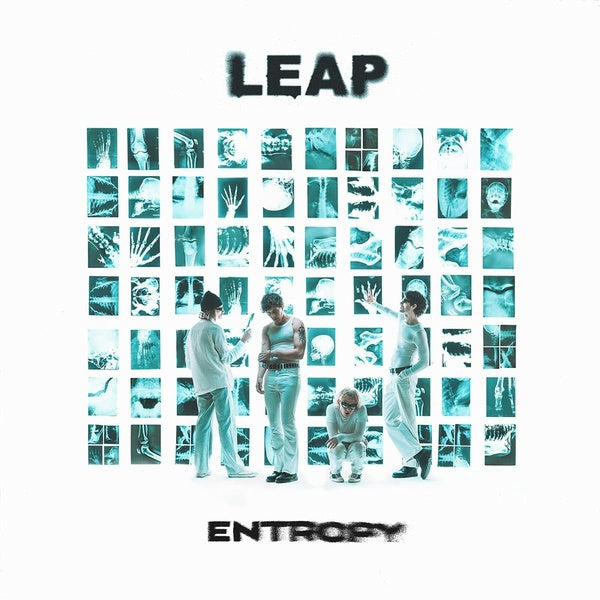 Entropy - Front Cover