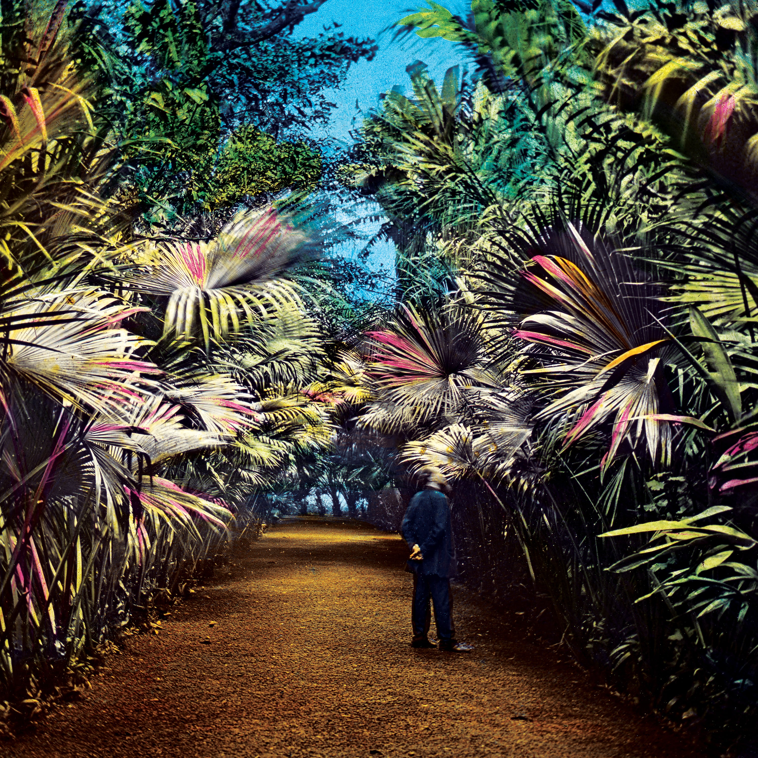 CUT THE WIRE -LP+CD- - Front Cover