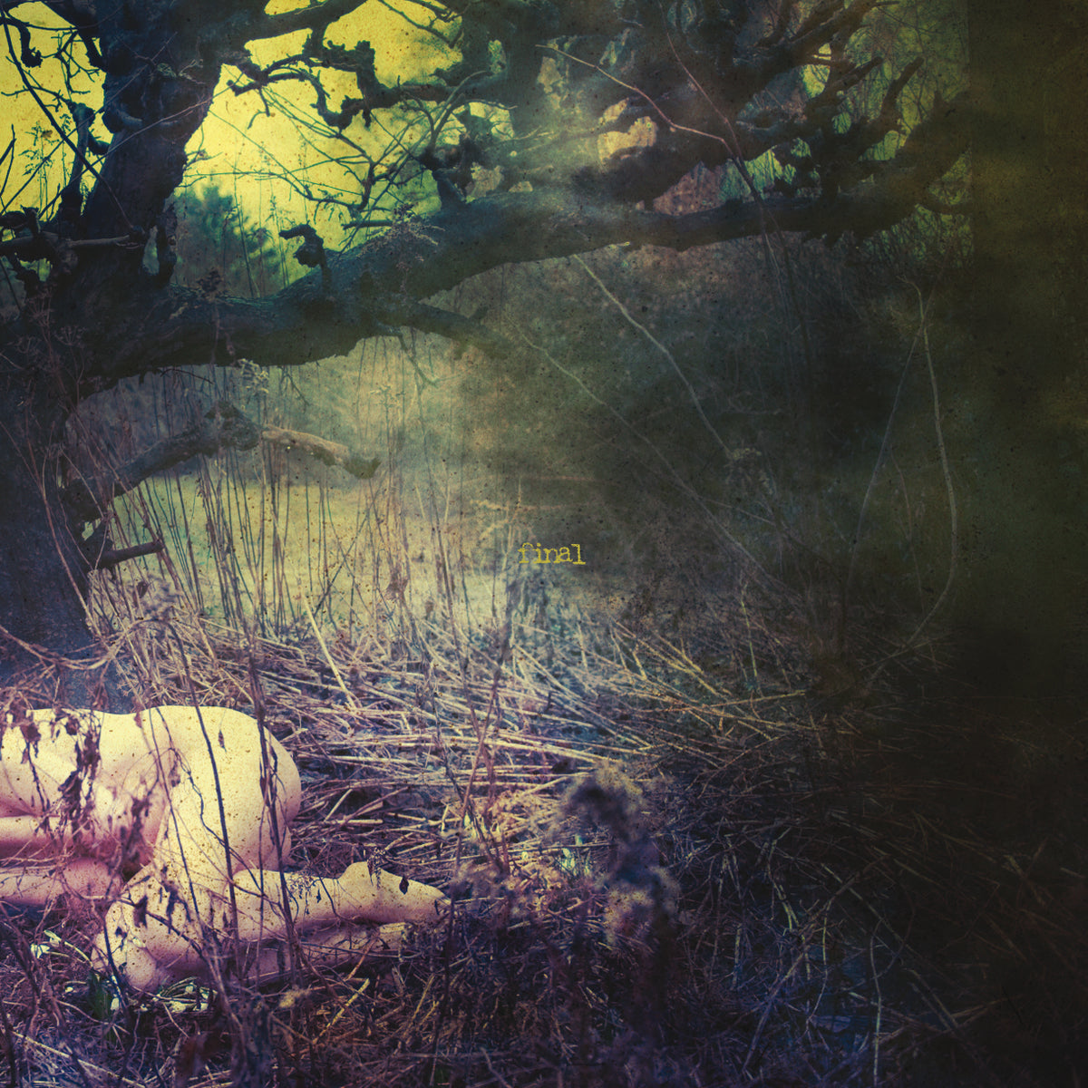 APPLE NEVER FALLS.. -HQ- - Front Cover