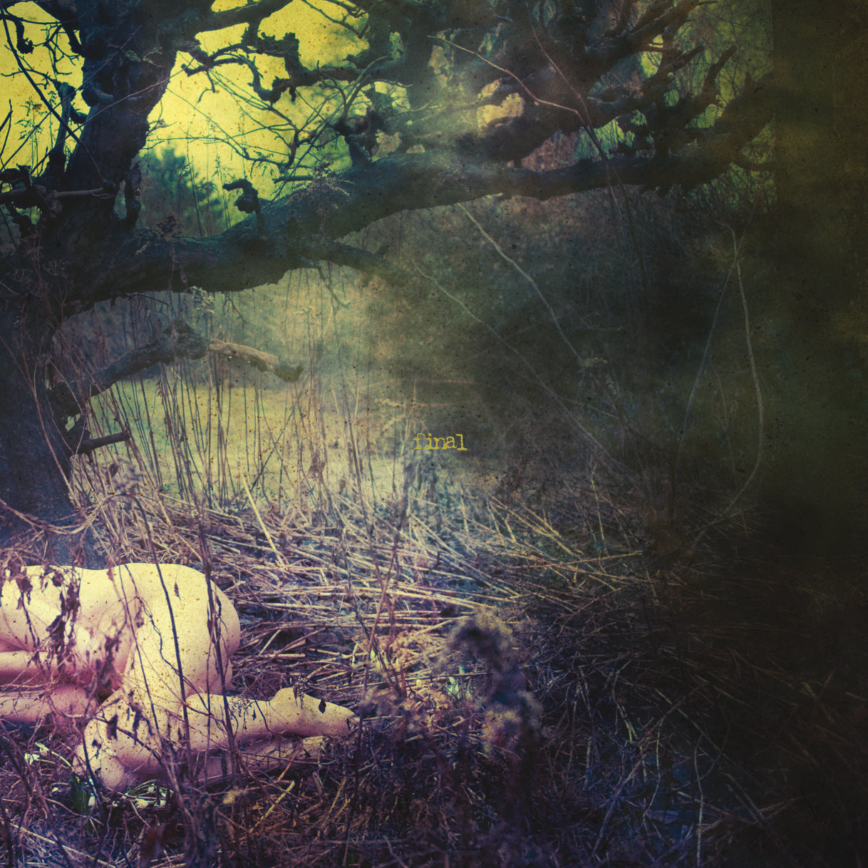 APPLE NEVER FALLS.. -HQ- - Front Cover