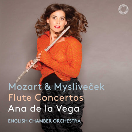Concertos pour flûte - Front Cover