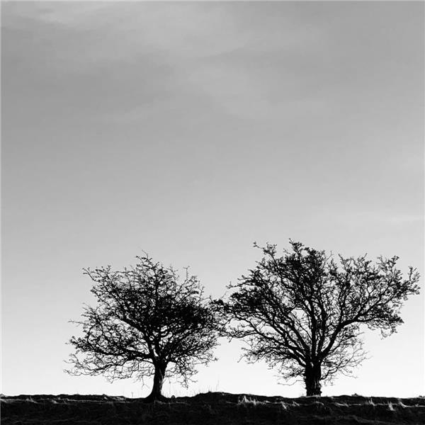 A HEIGHTENED SENSE OF EVERYTHING - Front Cover