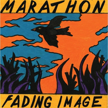 Fading Image - Front Cover