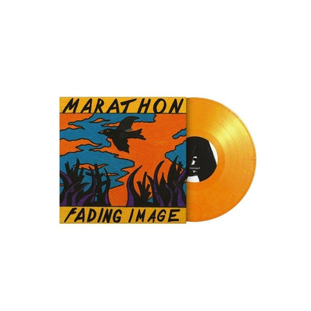 Fading Image - Front Cover