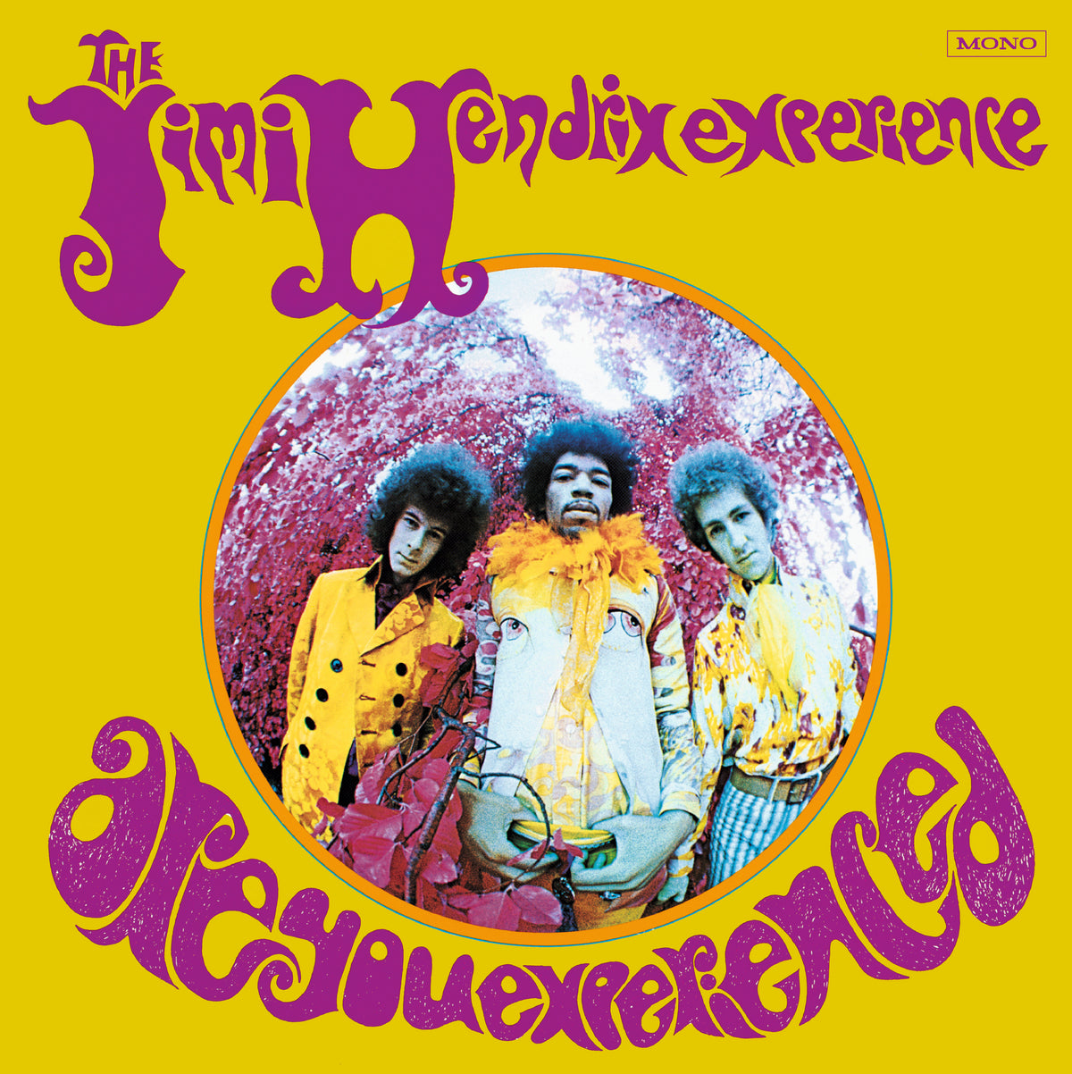 ARE YOU EXPERIENCED/VINYLE NOIR AUDIOPHILE 180GR/POCHETTE AMERICAINE - Front Cover