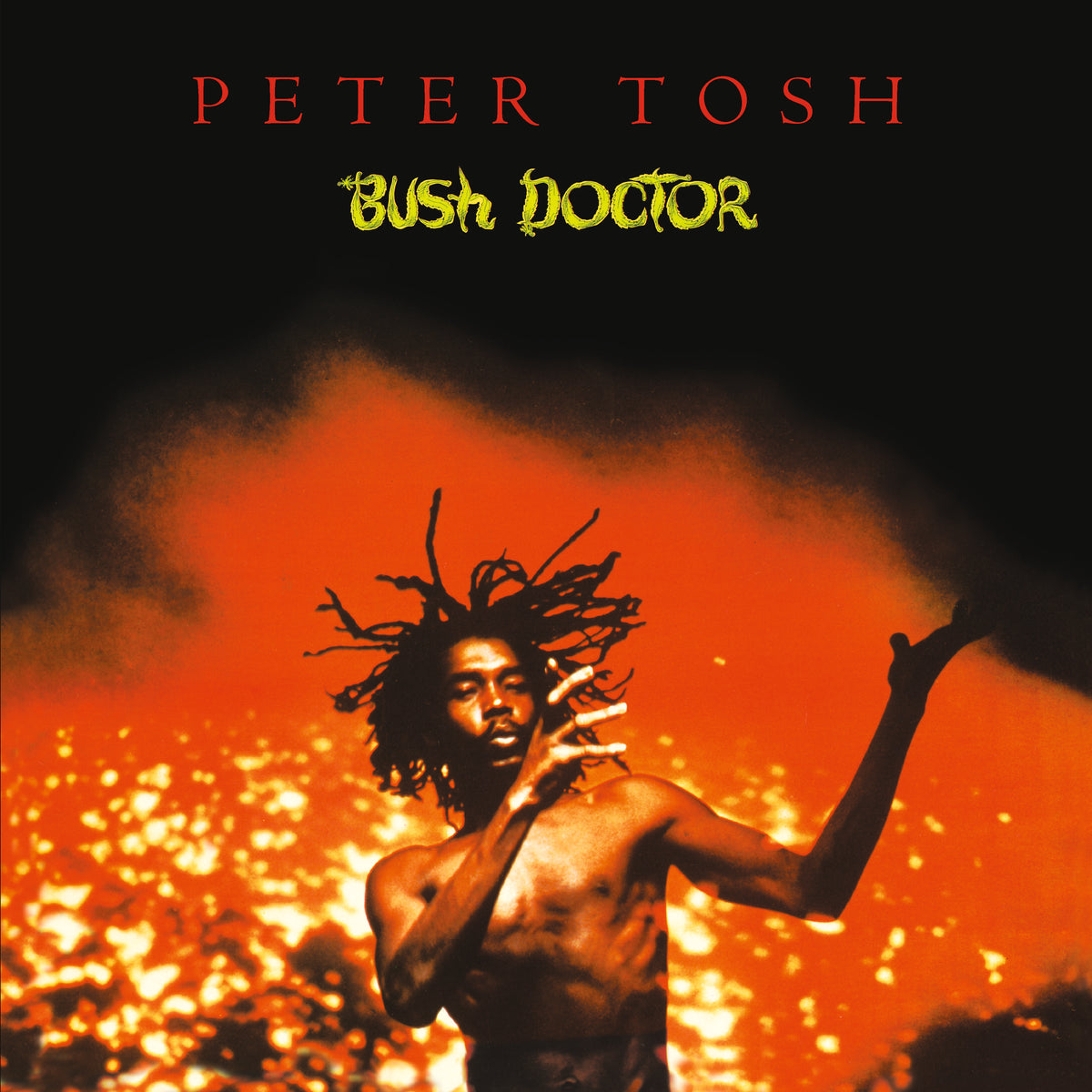 BUSH DOCTOR/VINYLE NOIR AUDIOPHILE 180GR - Front Cover