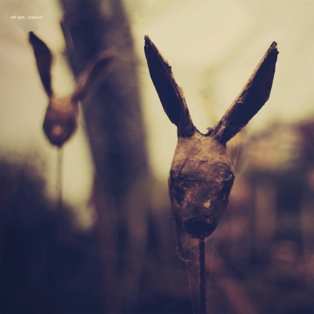 ROSARIUM -LP+CD- - Front Cover