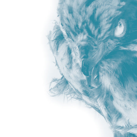 ICE - Front Cover