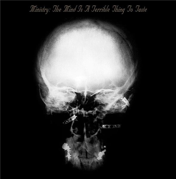 Mind Is A Terrible Thing To Taste - Front Cover