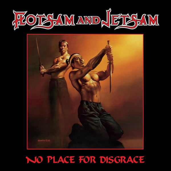 No Place For Disgrace - Front Cover