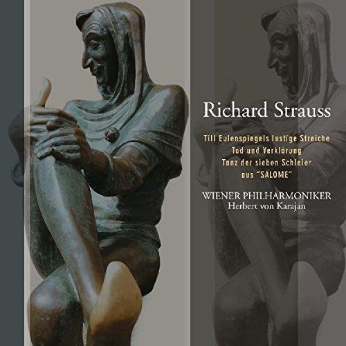Till eulenspiegels lustige streiche - Front Cover