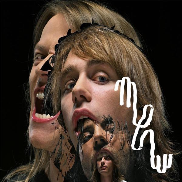 And the glass handed kites - Front Cover