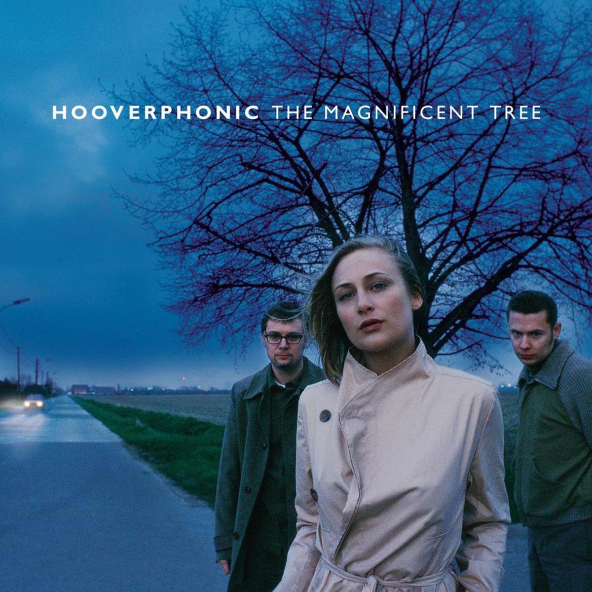 MAGNIFICENT TREE/VINYLE NOIR AUDIOPHILE 180GR - Front Cover