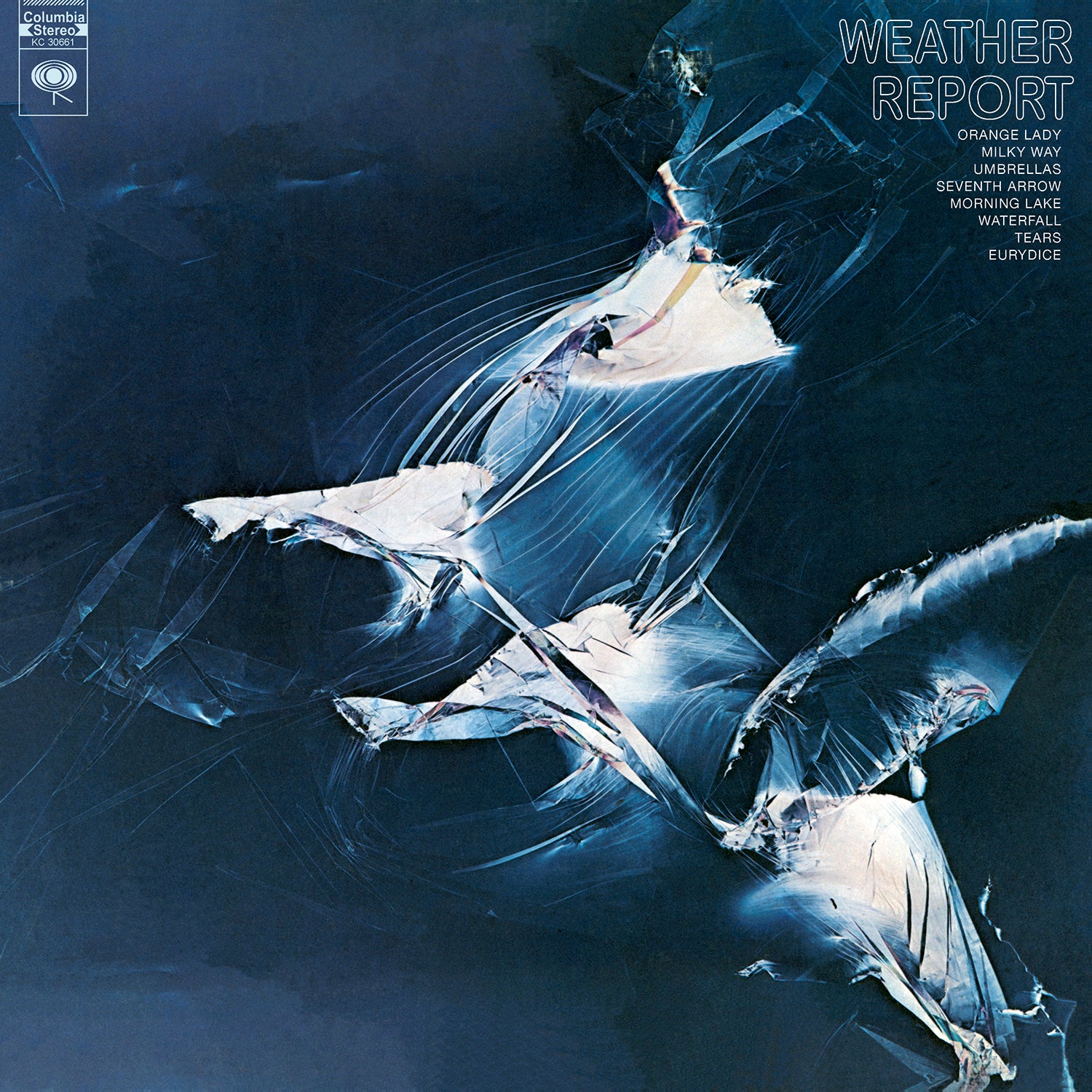WEATHER REPORT/VINYLE NOIR AUDIOPHILE 180GR - Front Cover