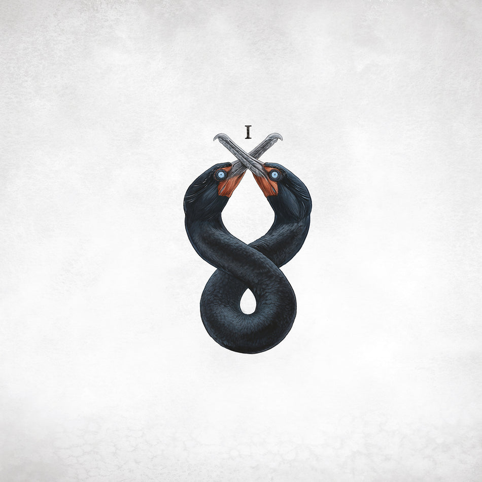 CORMORANT 1/VINYLE COULEUR - Front Cover