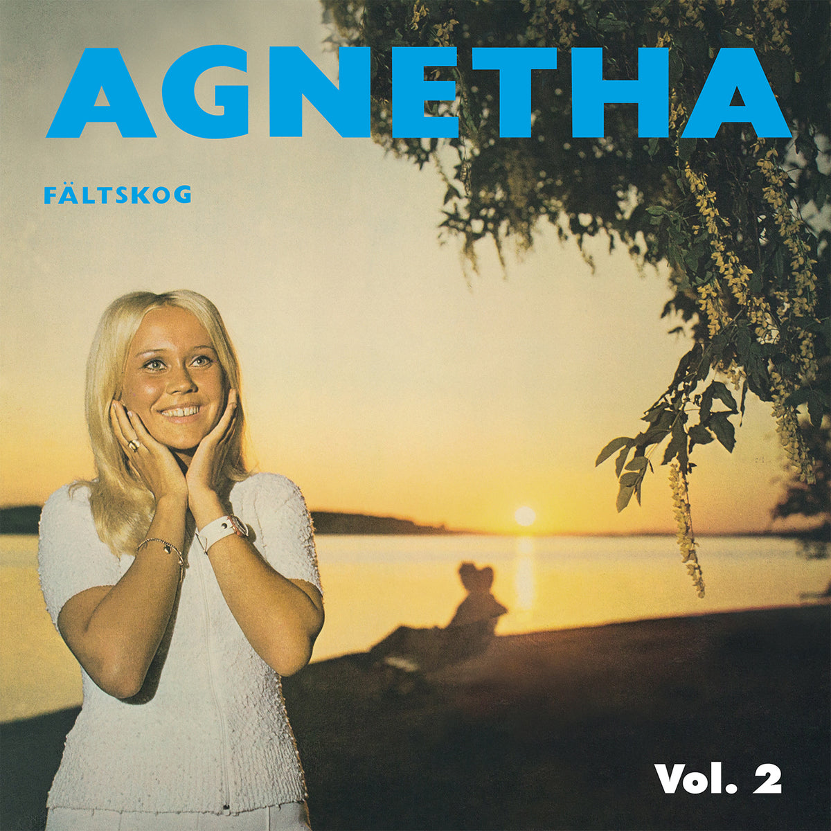 AGNETHA FALTSKOG VOL 2/VINYLE BLEU MARBRE AUDIOPHILE 180GR - Front Cover