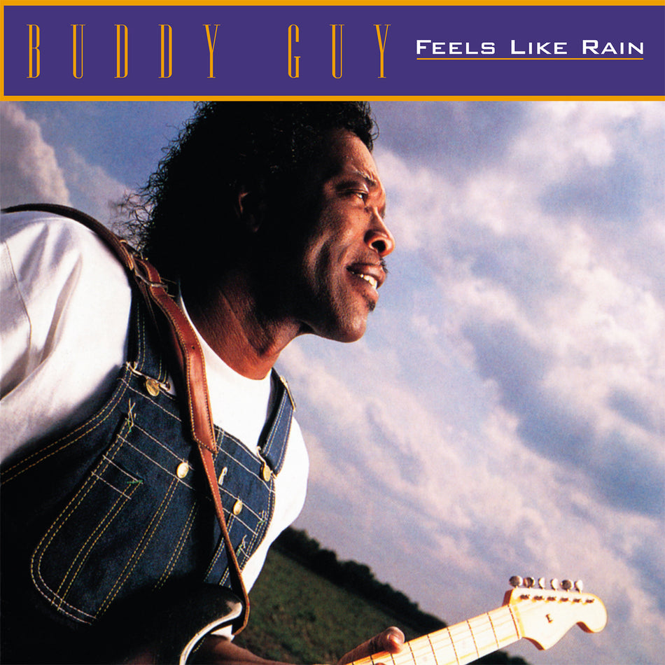 FEELS LIKE RAIN/ALBUM RECOMPENSE PAR 1 GRAMMY AWARD/VINYLE AUDIOPHILE 180GR/AVEC JOHN MAYALL/BONNIE RAITT/PAUL RODGERS - Front Cover