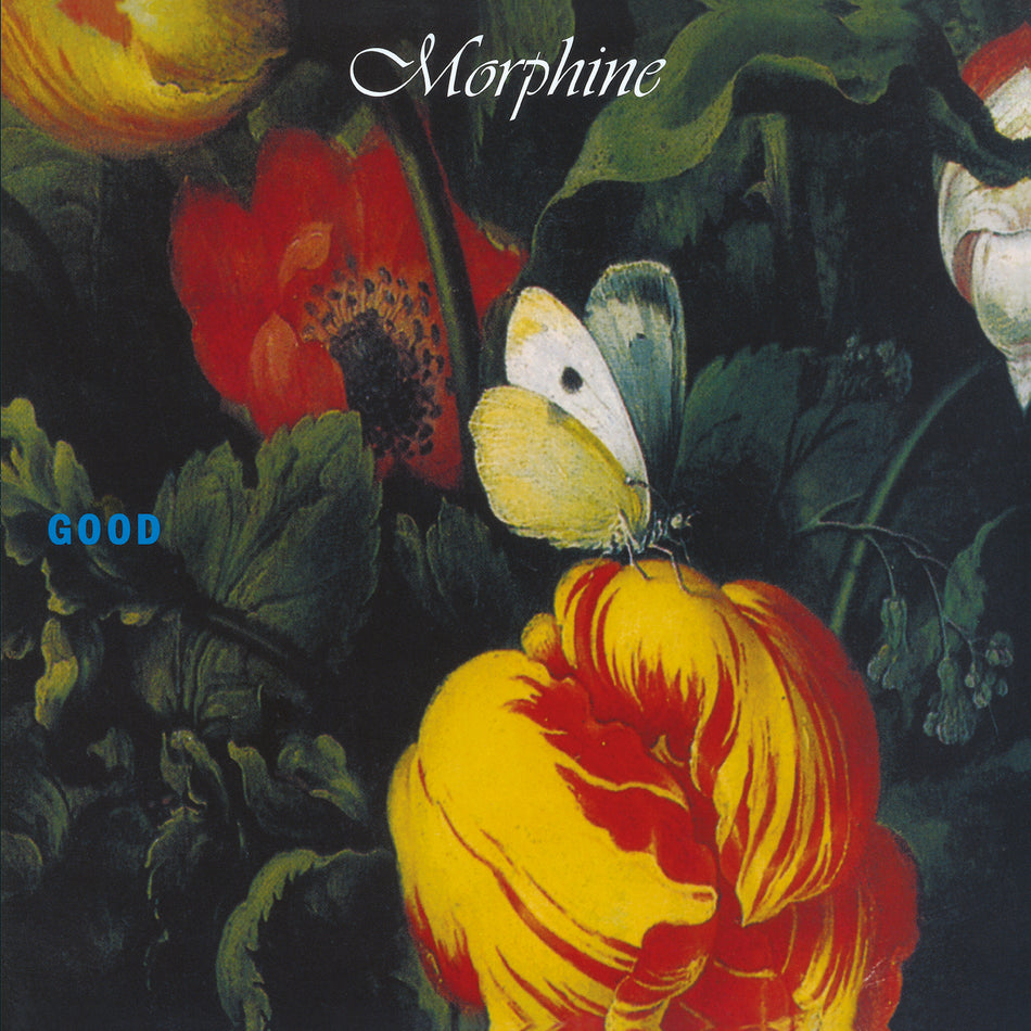 GOOD/VINYLE NOIR AUDIOPHILE 180GR - Front Cover