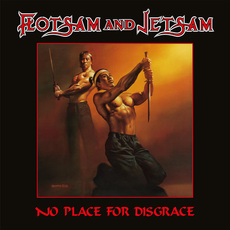 NO PLACE FOR DISGRACE/VINYLE NOIR AUDIOPHILE 180GR - Front Cover
