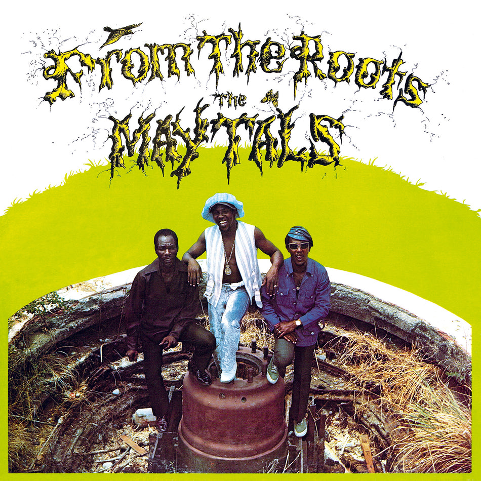 FROM THE ROOTS/VINYLE JAUNE ET VERT TRANSLUCIDE MARBRE AUDIOPHILE 180GR - Front Cover