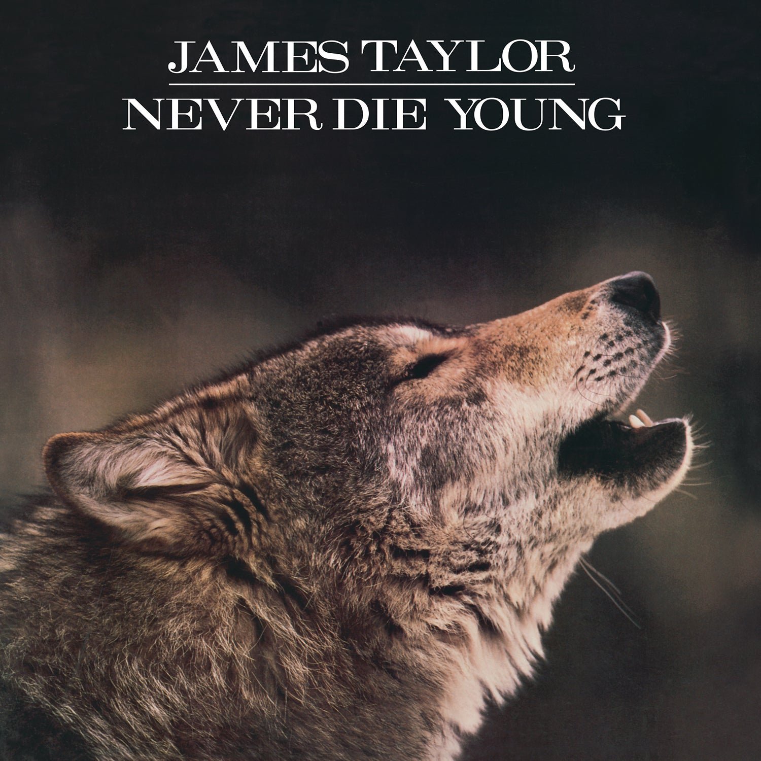 NEVER DIE YOUNG/VINYLE BLANC ET NOIR MARBRE AUDIOPHILE 180GR - Front Cover