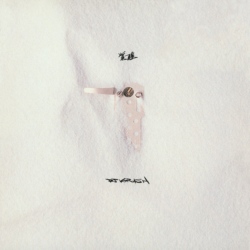 KAKUSEI/VINYLE NOIR AUDIOPHILE 180GR/INSERT - Front Cover