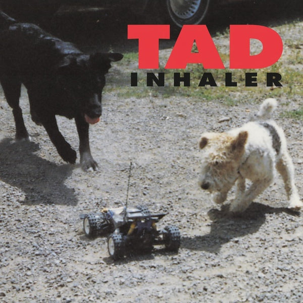 Inhaler Édition Limitée Vinyle Violet - Front Cover
