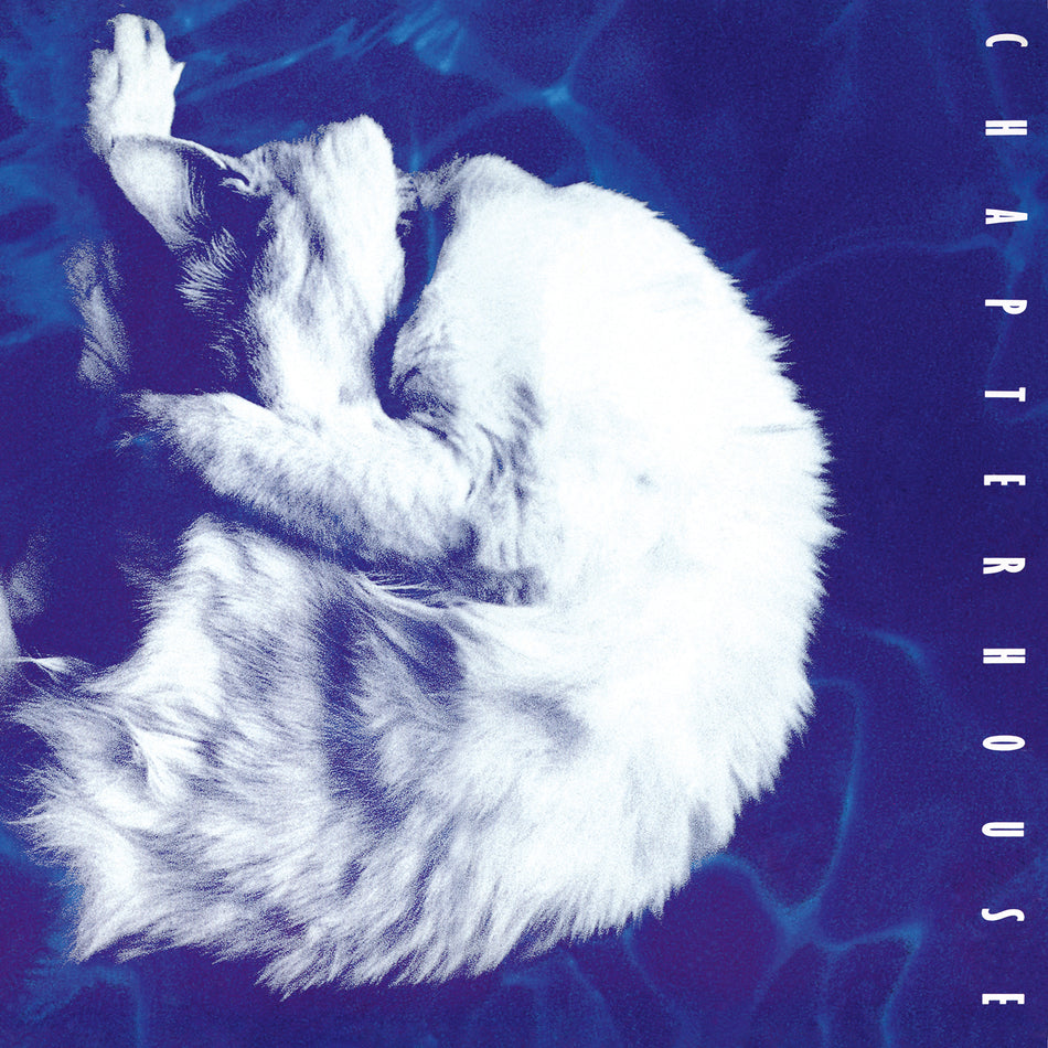 WHIRLPOOL / VINYLE LIMITE BLANC MARBRE - Front Cover
