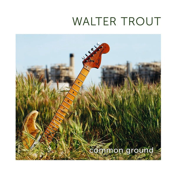 Common Ground - Front Cover