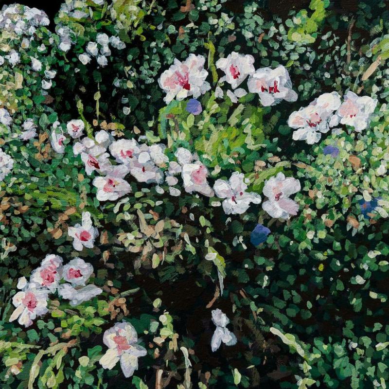 DON T ASK YOURSELF WHY - Front Cover