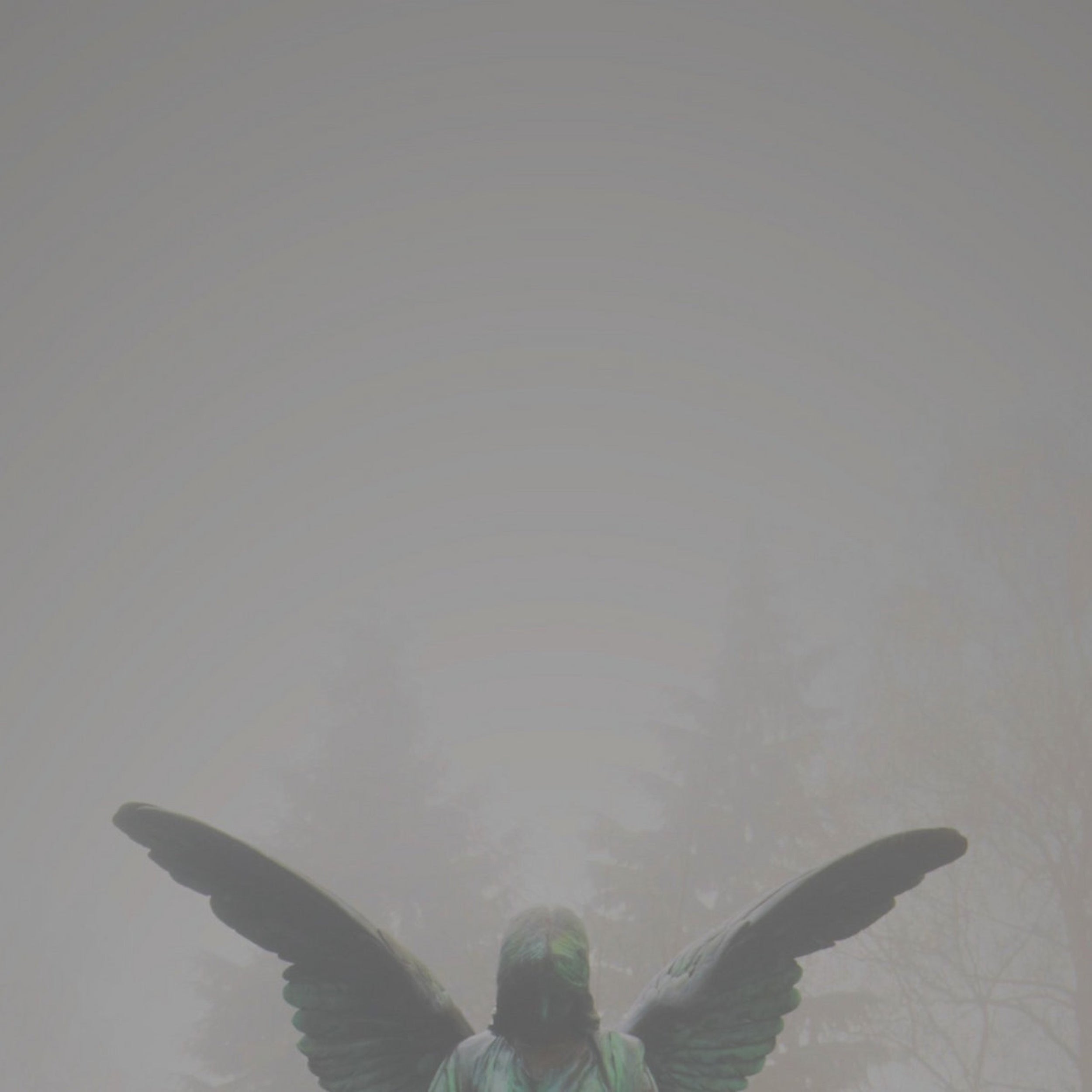 Pity / Piety - Front Cover