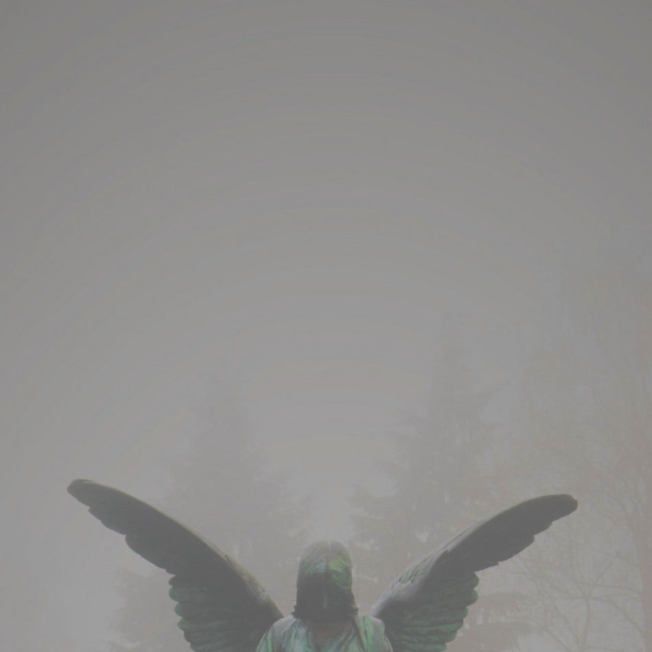 Pity / Piety - Front Cover