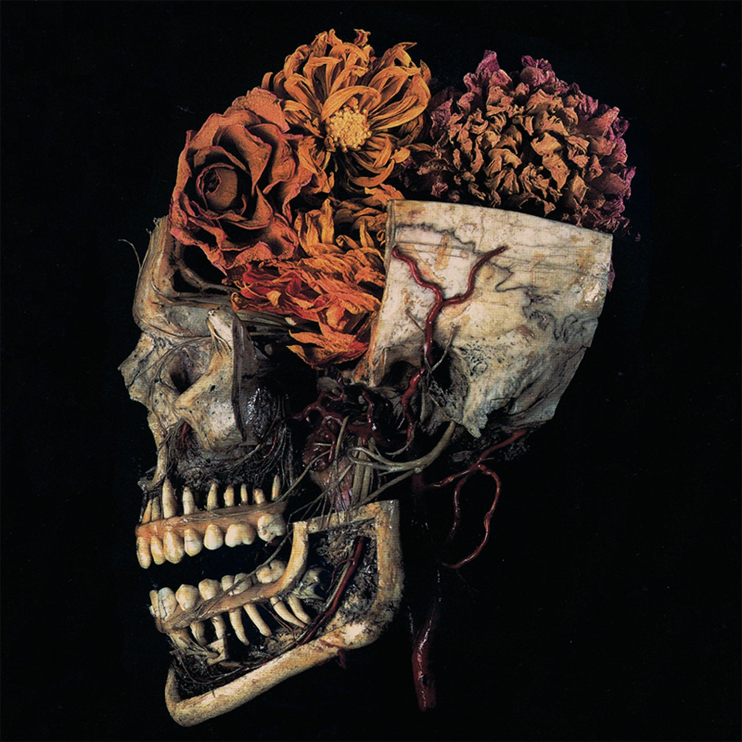 HEMELTRAAN - Front Cover