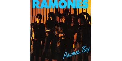 Animal Boy / Rocktober - Front Cover