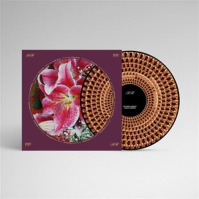 Coles Corner 20th Anniversary Édition Vinyle Zoetrope - Front Cover