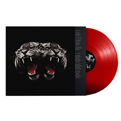 Dead Company Édition Limitée Exclusivité Fnac Vinyle Rouge Transparent - Front Cover