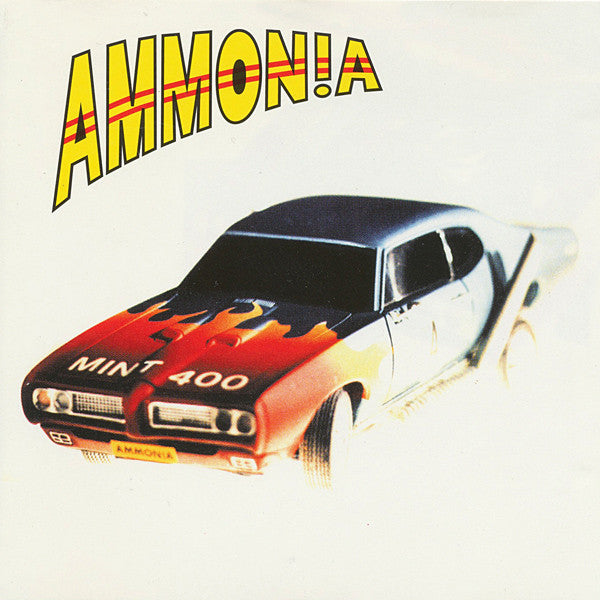 Mint 400 - Front Cover