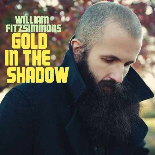 Gold in the Shadow - Front Cover