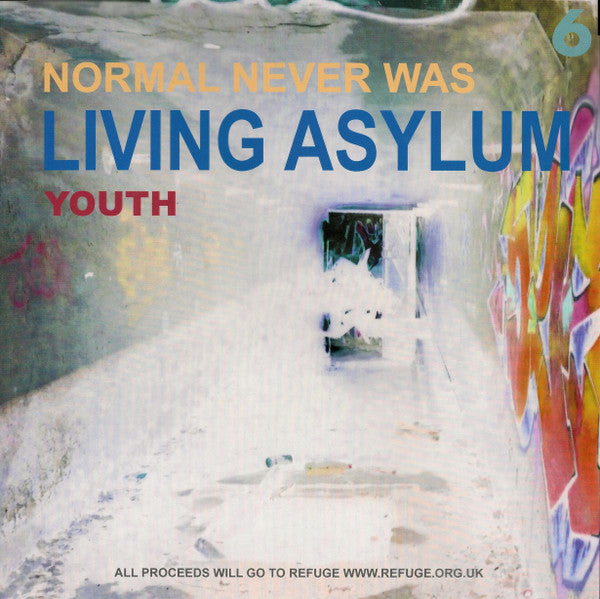 NORMAL NEVER WASS VI/VINYLE GRIS - Front Cover