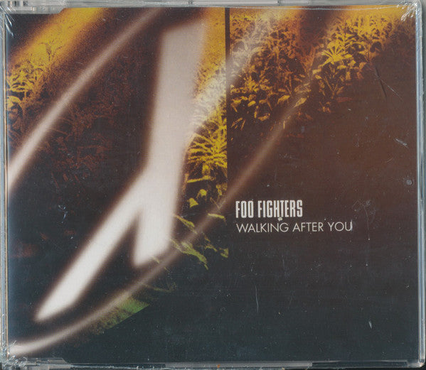 Walking After You - Front Cover