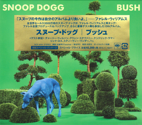 Bush - Front Cover