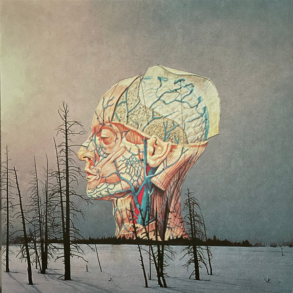Songs For A Dead Pilot - Front Cover