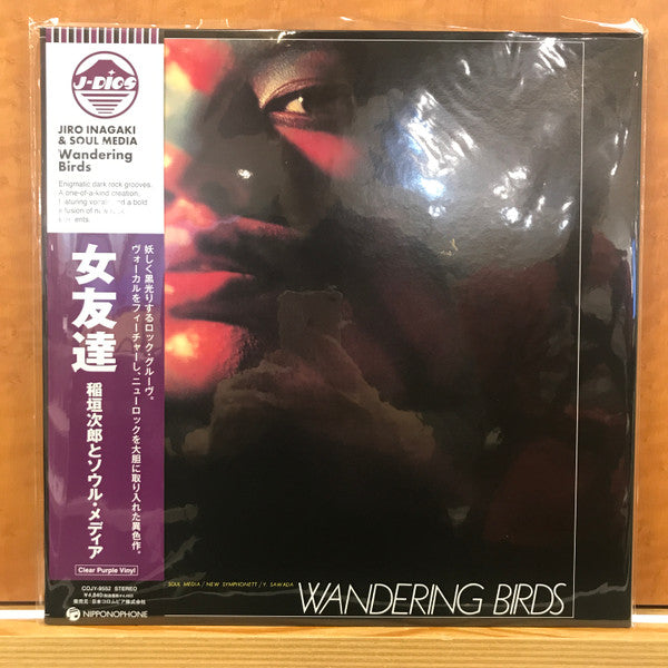 Wandering Birds Vinyle Violet Transparent - Front Cover
